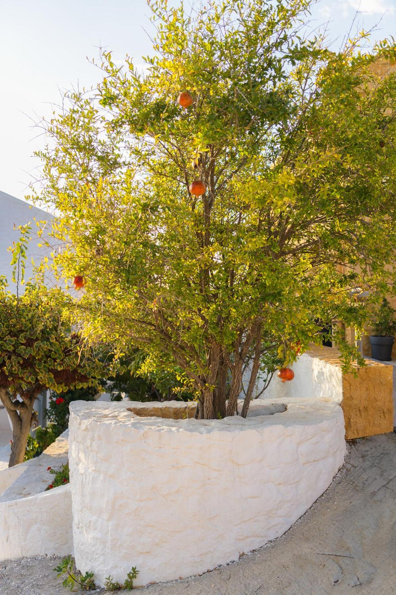 Villa Anton By Cura Villas Collection カラタス エクステリア 写真